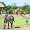 kanchanaburi safari park day tour