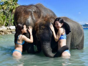 プーケット・ラッキービーチで象と水遊び体験Elephants Swims Lucky